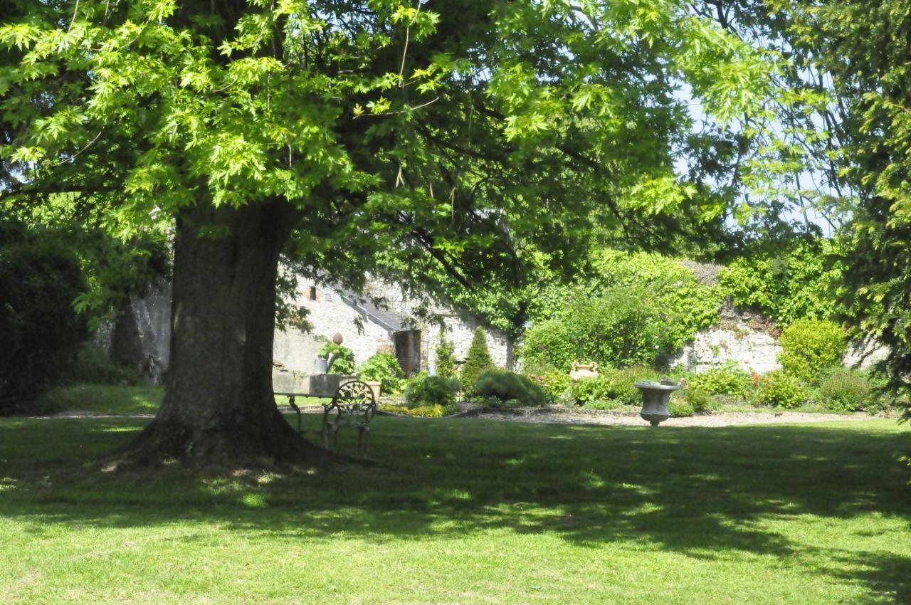 Chateau De St Sauveur D'Émalleville Zewnętrze zdjęcie