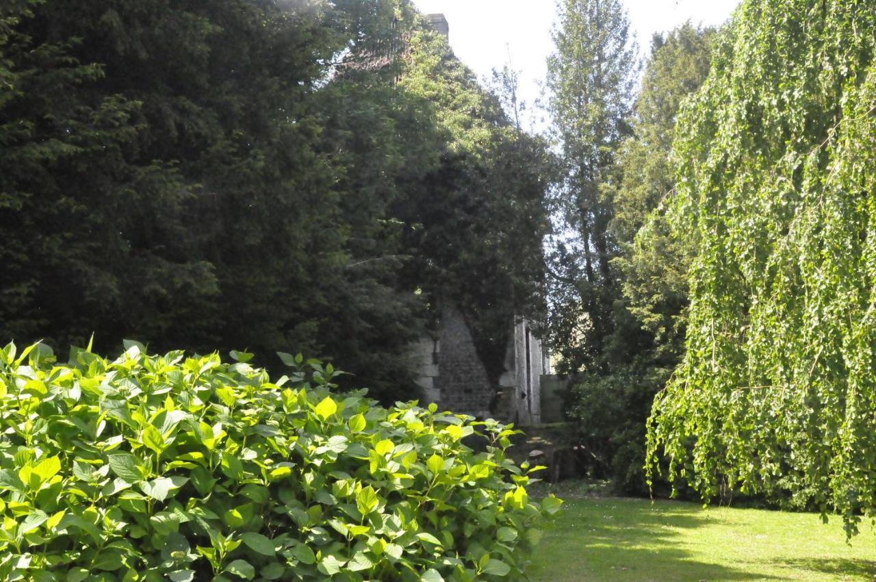 Chateau De St Sauveur D'Émalleville Zewnętrze zdjęcie